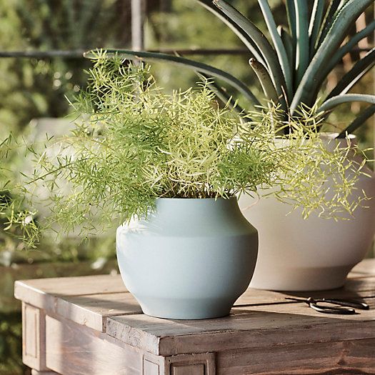 Mod Ceramic Jar Planter, 4"