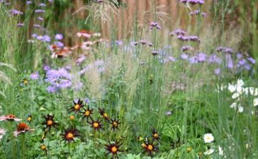 Prairie planting