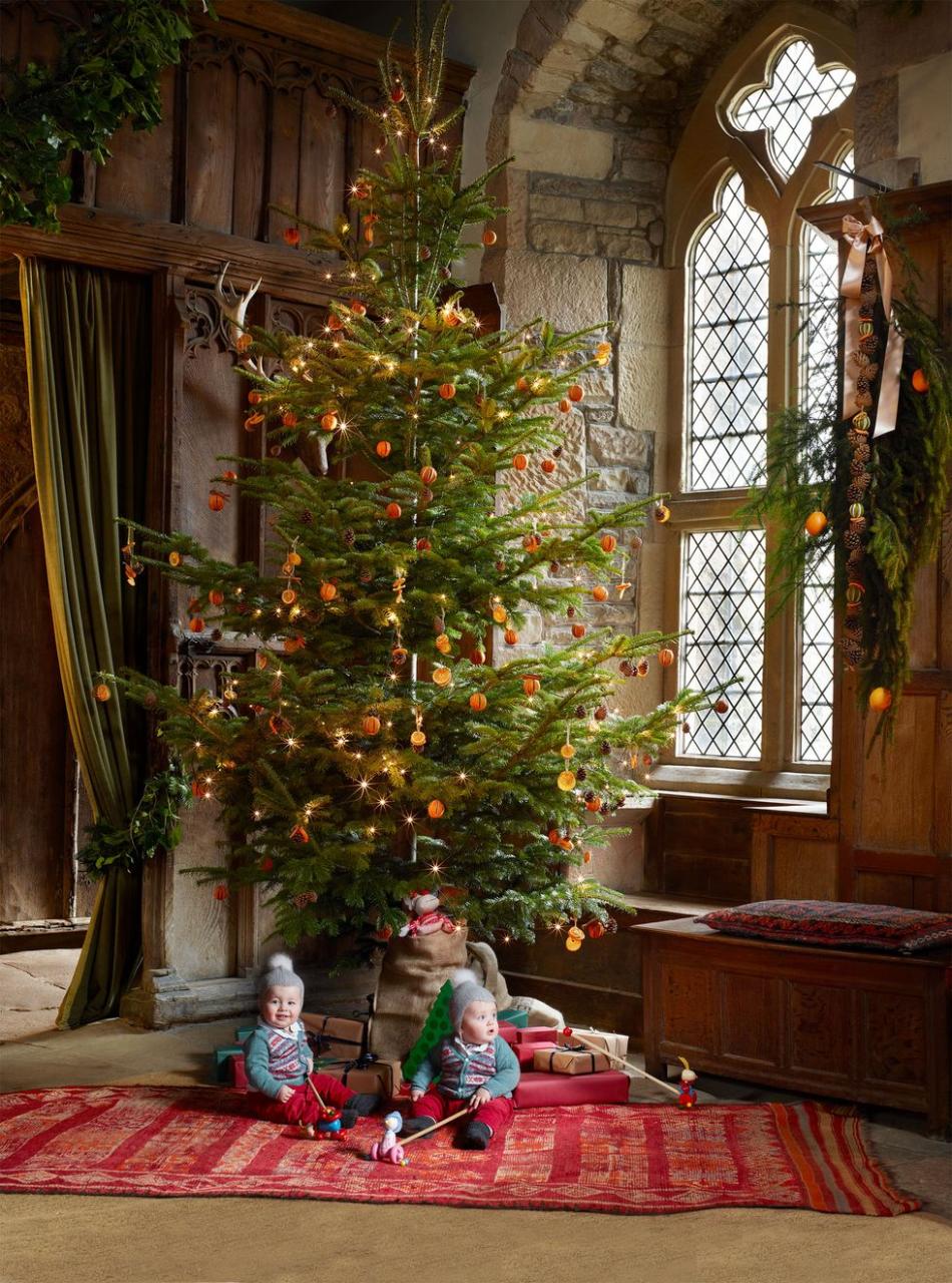 twin babies dressed in blue sweaters with matching hats with pompoms sitting next to a christmas tree in an english country house setting